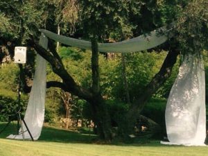 חופת עץ טבעית, השכרת ציוד הגברה לאירועים בטבע