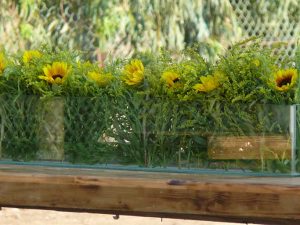 מרכזי שולחן