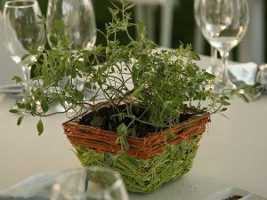 עציץ קש לעיצוב מרכז שולחן