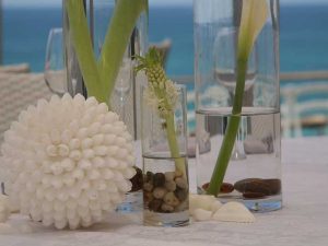 צדפים ואגרטלים שקופים לעיצוב מרכזי שולחן באירועים - להשכרה