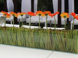 אדנית שקופה עם צמחי במבוק ופרחים כתומים להשכרה לעיצוב מרכז שולחן