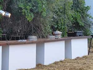 מזנונים וברים